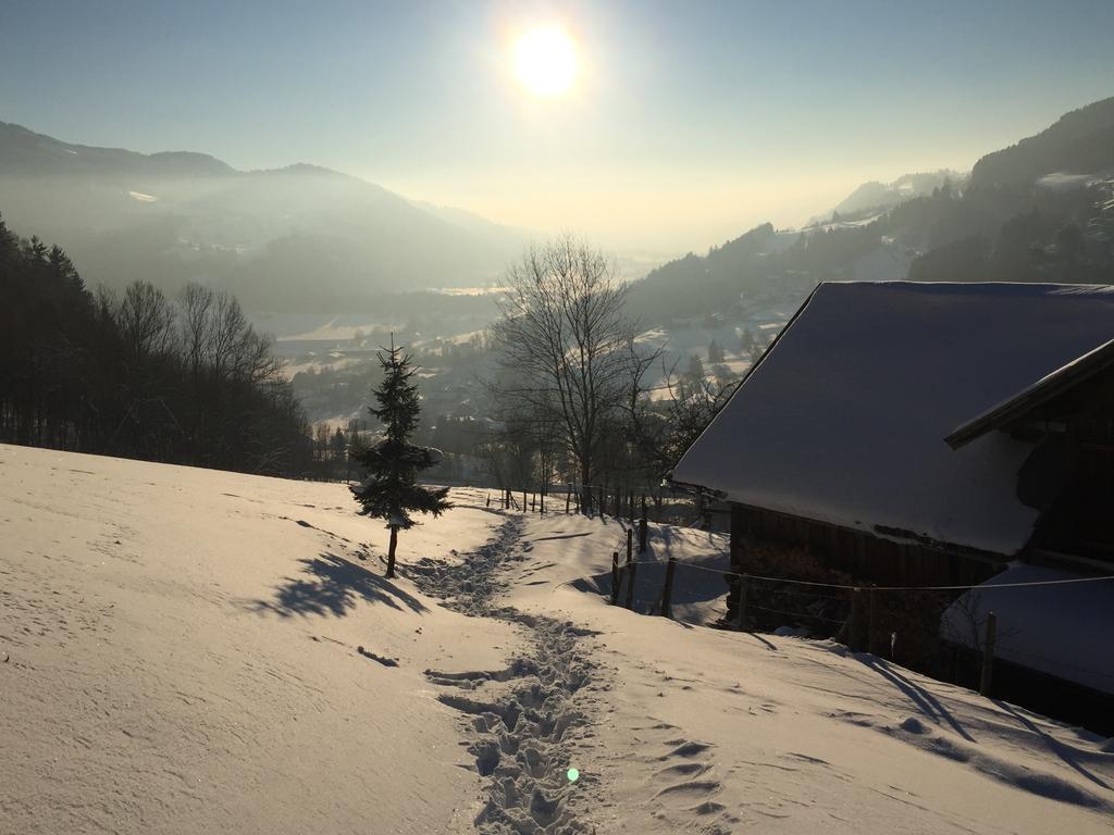 Ღlieblingsraum Fewo Stellplatz Babybett Disneytvღ Oberstaufen Eksteriør bilde